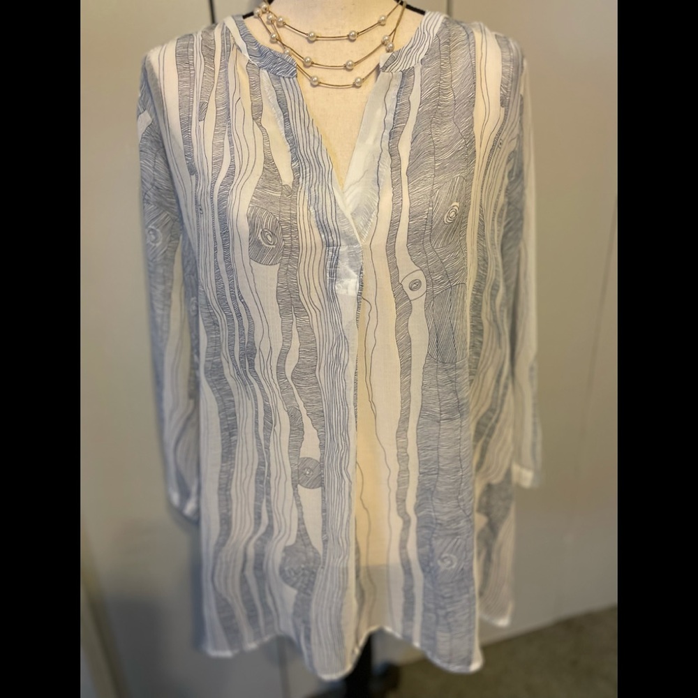 Chico’s Blue and White Sheer Top, Size 3